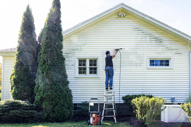 Professional Pressure Washing Services in Louisville, MS